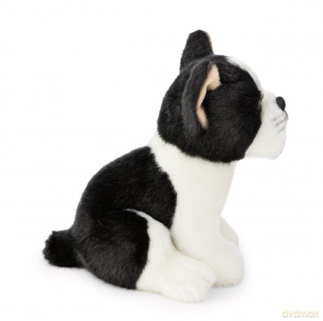 NICI przytulanka Terier Bostoński 20cm