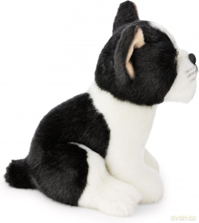 NICI przytulanka Terier Bostoński 20cm
