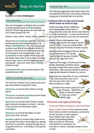 Bugs On Bushes: An Invertebrate Name Trail: Occasional Publication 77 (WildID) [KSIĄŻKA]
