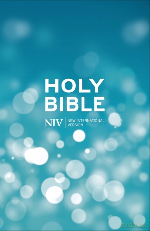 NIV Popular Blue Hardback Bible 20 Copy Pack (New International Version) - New International Version [KSIĄŻKA]