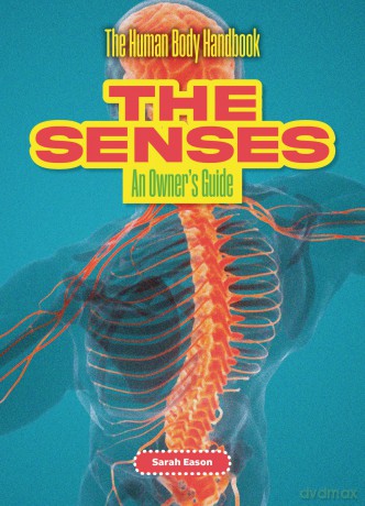 The Senses: An Owner's Guide (The Human Body Handbook) [KSIĄŻKA]