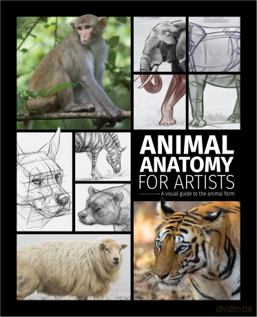 Animal Anatomy for Artists: A visual guide to the animal form [KSIĄŻKA]