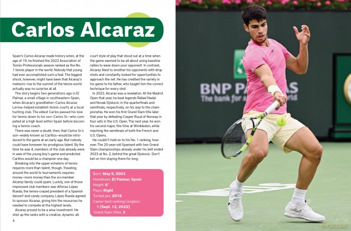 Stars of World Tennis (Abbeville Sports) - Tyler Blue [KSIĄŻKA]