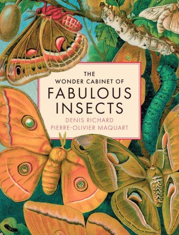 The Wonder Cabinet of Fabulous Insects: Secrets of the World's Rarest and Strangest Insects - Denis Richard [KSIĄŻKA]