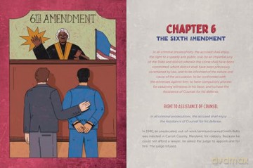 Rebels, Robbers, and Radicals: The Story of the Bill of Rights - Teri Kanefield [KSIĄŻKA]