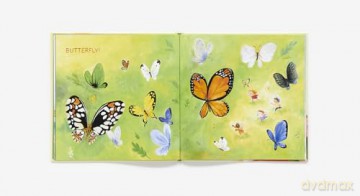Wonder Wings: Guess Who's Flying (The Nature Riddles and Rhymes Series) - Rebecca E. Hirsch [KSIĄŻKA]