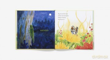 Wonder Wings: Guess Who's Flying (The Nature Riddles and Rhymes Series) - Rebecca E. Hirsch [KSIĄŻKA]
