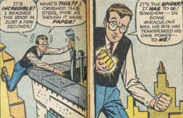 Spider-Man: Panel by Panel - Chip Kidd [KSIĄŻKA]