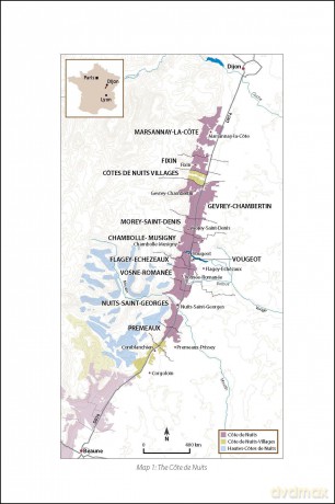 Côte d'Or: The Wines and Winemakers of the Heart of Burgundy (The Classic Wine Library) - Raymond Blake [KSIĄŻKA]