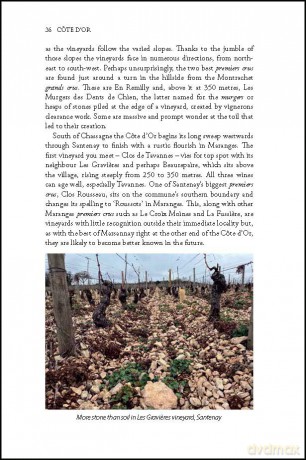 Côte d'Or: The Wines and Winemakers of the Heart of Burgundy (The Classic Wine Library) - Raymond Blake [KSIĄŻKA]