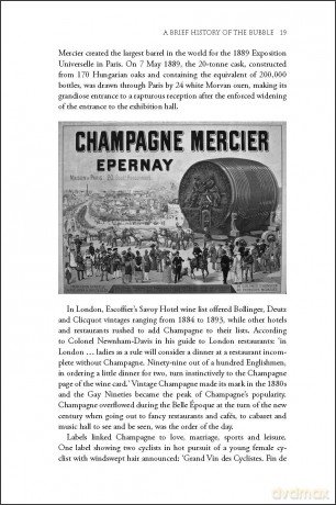 Fizz!: Champagne and Sparkling Wines of the World (The Classic Wine Library) - Anthony Rose [KSIĄŻKA]