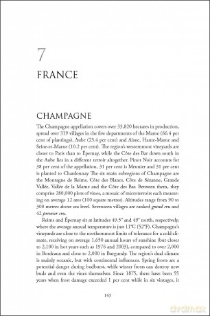 Fizz!: Champagne and Sparkling Wines of the World (The Classic Wine Library) - Anthony Rose [KSIĄŻKA]