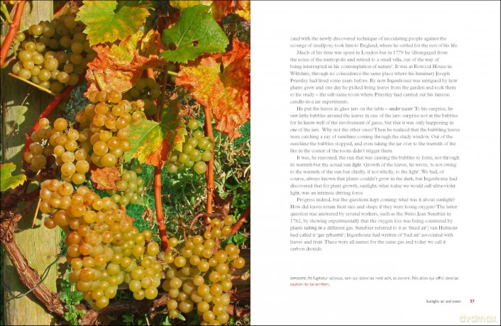 Taste the Limestone, Smell the Slate: A geologist wanders through the world of wine - Professor Alex Maltman [KSIĄŻKA]