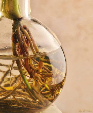 The Cynic's Guide to Wine: Demystifying Wine from Vineyard to Glass - Sunny Hodge [KSIĄŻKA]
