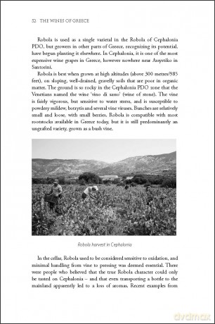 The Wines of Greece (The Classic Wine Library) - Konstantinos Lazarakis MW [KSIĄŻKA]