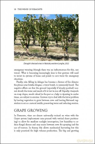 The Wines of Piemonte (The Classic Wine Library) - David Way [KSIĄŻKA]