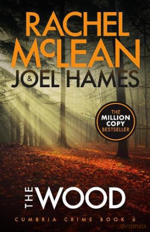 The Wood: 6 (Cumbria Crime) - Rachel McLean [KSIĄŻKA]