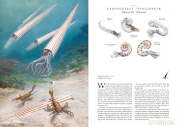 Atlas of Prehistoric Animals (Large Encyclopedias) - Radek Maly [KSIĄŻKA]