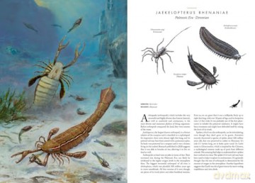 Atlas of Prehistoric Animals (Large Encyclopedias) - Radek Maly [KSIĄŻKA]