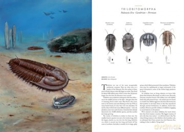 Atlas of Prehistoric Animals (Large Encyclopedias) - Radek Maly [KSIĄŻKA]