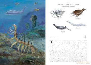 Atlas of Prehistoric Animals (Large Encyclopedias) - Radek Maly [KSIĄŻKA]