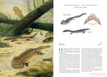Atlas of Prehistoric Animals (Large Encyclopedias) - Radek Maly [KSIĄŻKA]