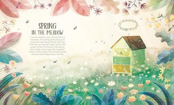 Diary of a Bee (Little Heroes, 1) - Stepanka Sekaninova [KSIĄŻKA]