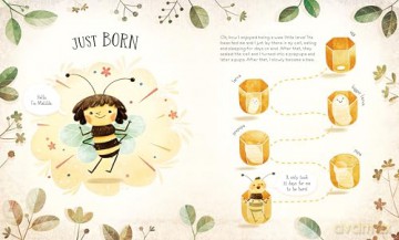 Diary of a Bee (Little Heroes, 1) - Stepanka Sekaninova [KSIĄŻKA]