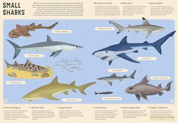 Encyclopedia of Undersea Life for Young Readers: 4 (Encyclopedias for Young Readers) - Bohdana Jarosova [KSIĄŻKA]