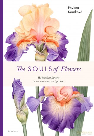 The Souls of Flowers: The Loveliest Flowers in Our Meadows and Gardens (Large Encyclopedias) - Pavlina Kourkova [KSIĄŻKA]