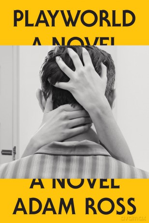 Playworld: A Novel - Adam Ross [KSIĄŻKA]