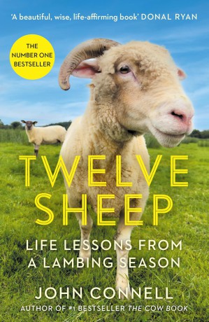 Twelve Sheep: Life lessons from a lambing season - John Connell [KSIĄŻKA]