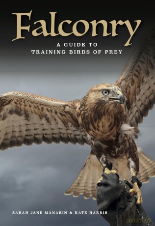 Falconry: A guide to training birds of prey - Sarah-Jane Manarin [KSIĄŻKA]