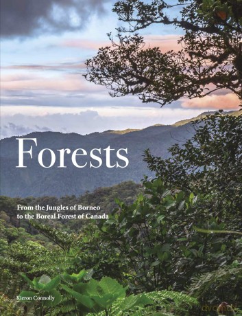 Forests: From the Jungles of Borneo to the Boreal Forest of Canada (Travel) - Kieron Connolly [KSIĄŻKA]