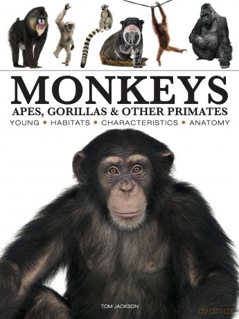 Monkeys (Mini Encyclopedias) - Tom Jackson [KSIĄŻKA]
