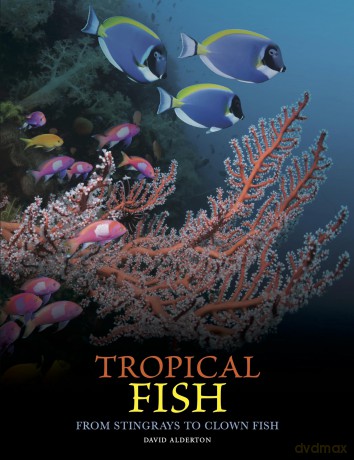 Tropical Fish (Animals in Photographs): From Stingrays to Clown Fish - David Alderton [KSIĄŻKA]