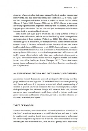 Shame and Anger in Psychotherapy - Leslie S. Greenberg [KSIĄŻKA]