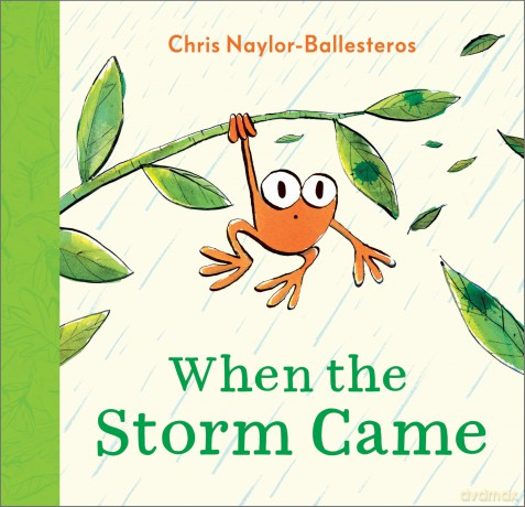 When the Storm Came - Chris Naylor-Ballesteros [KSIĄŻKA]