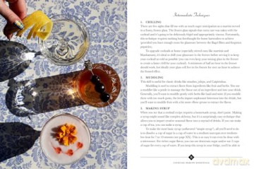 How to Be a Better Drinker: Cocktail Recipes and Boozy Etiquette - Hannah Chamberlain [KSIĄŻKA]