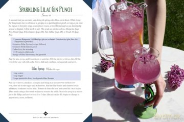 How to Be a Better Drinker: Cocktail Recipes and Boozy Etiquette - Hannah Chamberlain [KSIĄŻKA]
