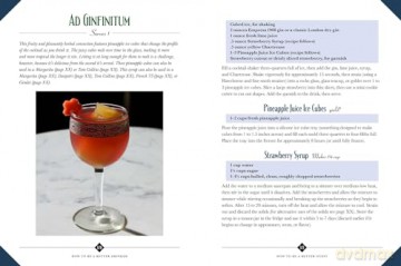 How to Be a Better Drinker: Cocktail Recipes and Boozy Etiquette - Hannah Chamberlain [KSIĄŻKA]