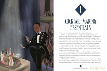 How to Be a Better Drinker: Cocktail Recipes and Boozy Etiquette - Hannah Chamberlain [KSIĄŻKA]