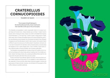 Powerful Mushrooms: An Illustrated Anthology - Federico Di Vita [KSIĄŻKA]