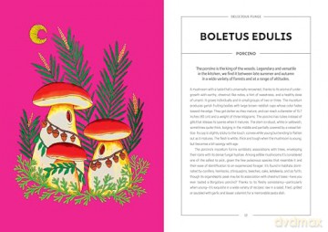 Powerful Mushrooms: An Illustrated Anthology - Federico Di Vita [KSIĄŻKA]