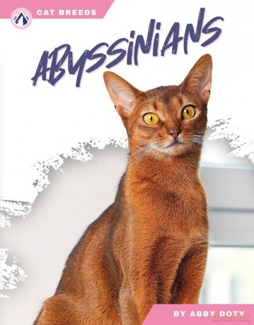 Abyssinians (Cat Breeds) - Abby Doty [KSIĄŻKA]