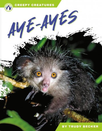Aye-Ayes (Creepy Creatures) - Trudy Becker [KSIĄŻKA]