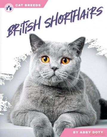 British Shorthairs (Cat Breeds) - Abby Doty [KSIĄŻKA]
