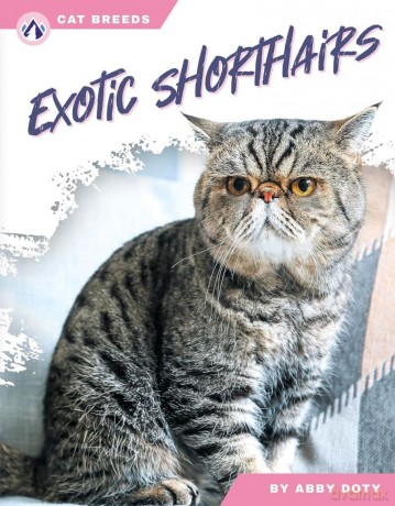 Exotic Shorthairs (Cat Breeds) - Abby Doty [KSIĄŻKA]