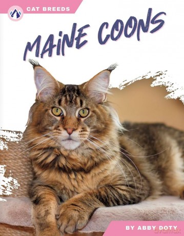 Maine Coons (Cat Breeds) - Abby Doty [KSIĄŻKA]