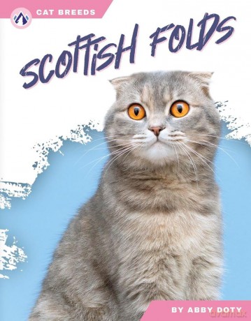 Scottish Folds (Cat Breeds) - Abby Doty [KSIĄŻKA]